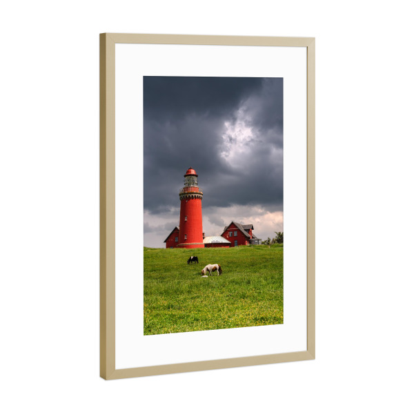 Poster mit Rahmen Gold "Bovbjerg Fyr Dänemark" artboxONE - Natur,Reise,Architektur,Reise / Länder