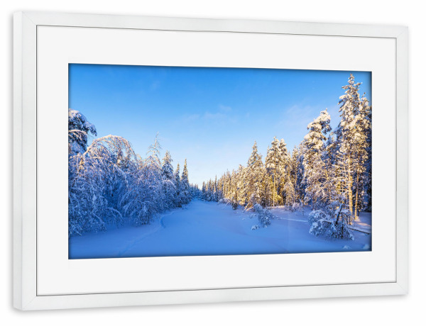 Poster mit Rahmen weiß "Winter mit Wald in Finnland" artboxONE - Natur,Reise,Reise / Länder