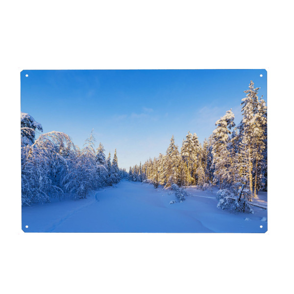 Metall Poster "Winter mit Wald in Finnland" artboxONE - Natur,Reise,Reise / Länder
