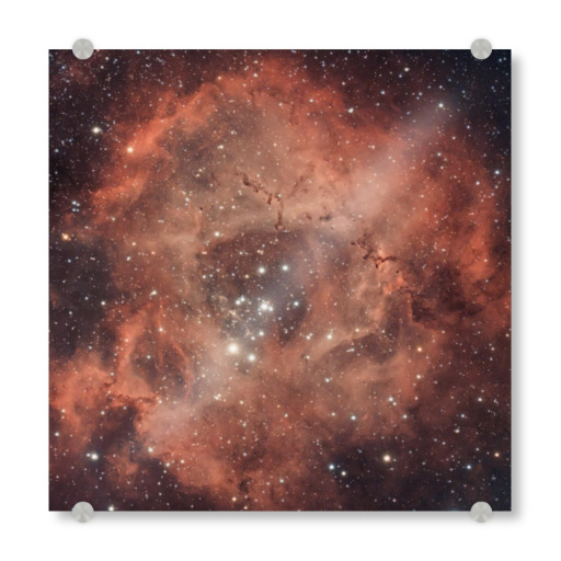 Rosette fog