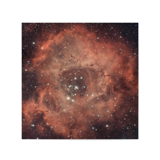 Rosette fog