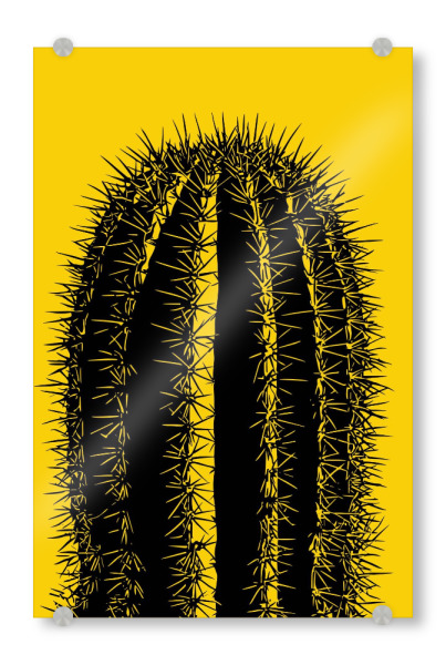 Acrylglasbild "Desert Resilience" artboxONE - Natur,Floral