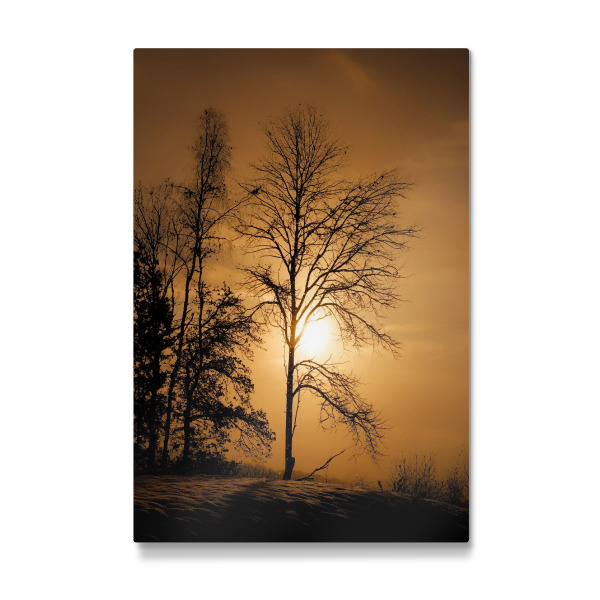 Galerie-Print "Baum im Sonnenuntergang" 75x50 cm artboxONE