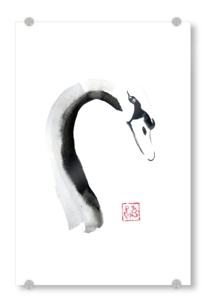 Acrylglasbild "Schwanengesicht" artboxONE - Tiere,Schwarzweiß - Schwan,Vogel,Sumie,Japan