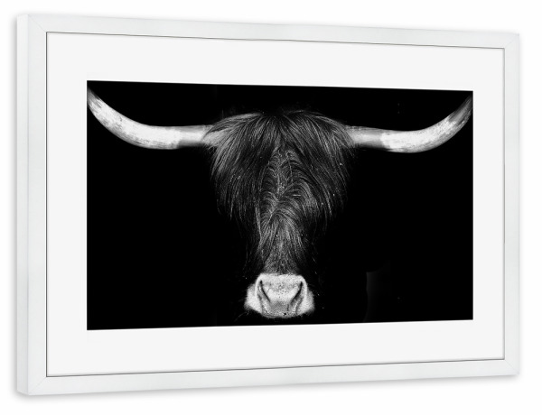 Poster mit Rahmen weiß "Anderer kleiner Wuschel" artboxONE - Natur,Tiere,Schwarzweiß
