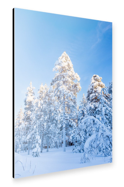 Alu-Dibond "Schneebedeckte Bäume" 30x20 cm artboxONE
