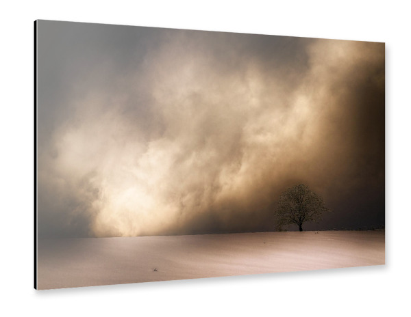Alu-Dibond "Schneesturm und Baum" 75x50 cm artboxONE