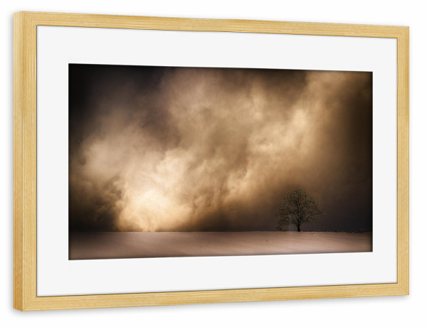 Poster mit Rahmen kiefer "Schneesturm und Baum" artboxONE - Natur,Reise - Baum,Himmel,Wolken,Schnee,Schneesturm,Bedrohlich