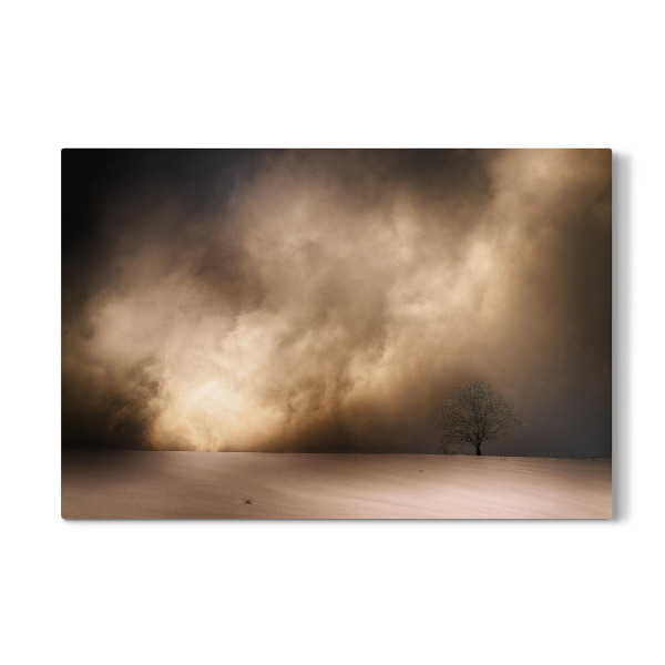 Galerie-Print "Schneesturm und Baum" 30x20 cm artboxONE