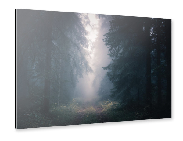 Alu-Dibond "Mystischer Waldweg" 30x20 cm artboxONE