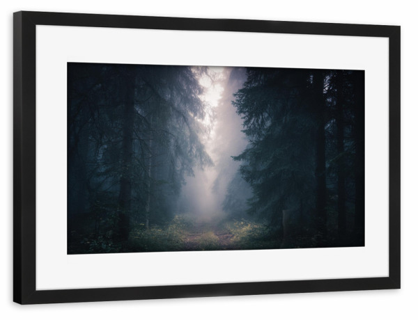 Poster mit Rahmen schwarz "Mystischer Waldweg" artboxONE - Natur