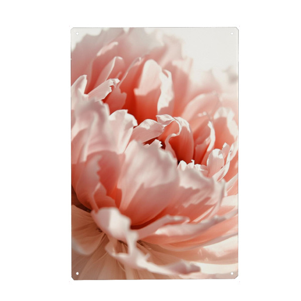 Metall Poster "Rosa Pfingstrosen" artboxONE - Floral,Abstrakt