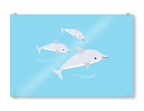 Acrylglasbild "Nur schwimmende Delfine" artboxONE - Natur,Für Kinder,Tiere
