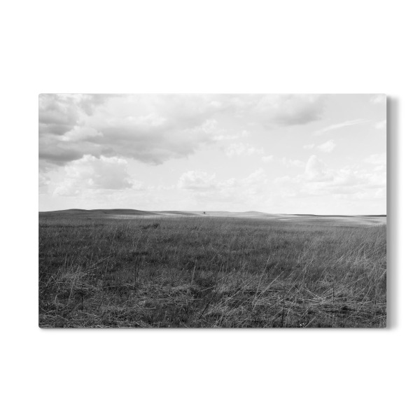 Galerie-Print "In der amerikanischen Prärie" 30x20 cm artboxONE