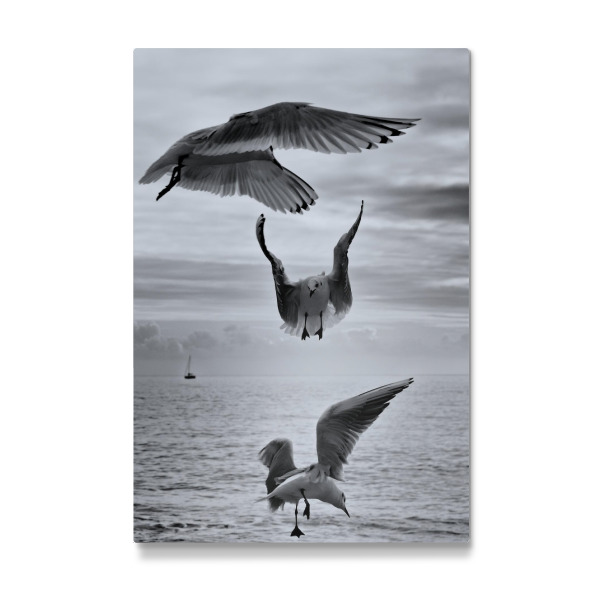 Galerie-Print "Drei im Flug" 75x50 cm artboxONE