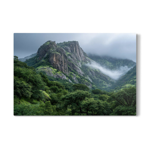 Galerie-Print "Moody Nature Dschungel" 75x50 cm artboxONE