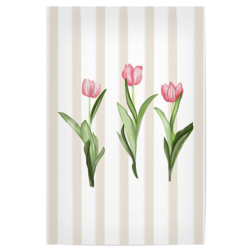 Tulips trio Tulips trio