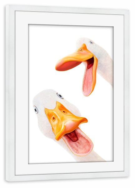 Poster mit Rahmen weiß "Lustige Enten" artboxONE - Natur,Für Kinder,Tiere,Liebe,Lustig