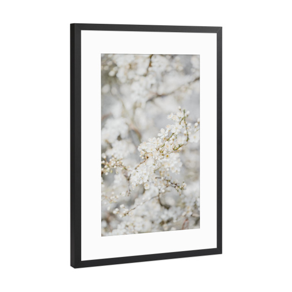 Poster mit Rahmen Schwarz (Metallic) "Traumwelt Im Blütenmeer" artboxONE - Natur,Floral