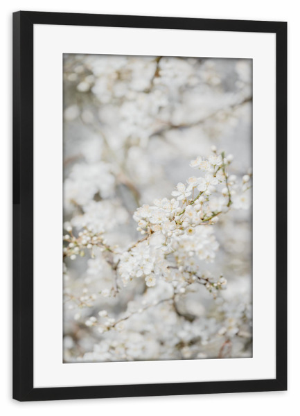 Poster mit Rahmen schwarz "Traumwelt Im Blütenmeer" artboxONE - Natur,Floral
