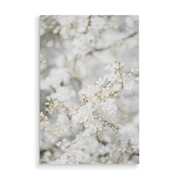 Holzbild "Traumwelt Im Blütenmeer" artboxONE - Natur,Floral