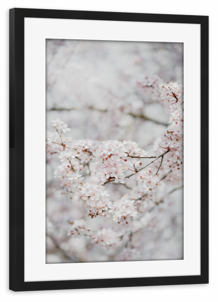 Poster mit Rahmen schwarz "Kirschbaum Erwachen" artboxONE - Natur,Floral