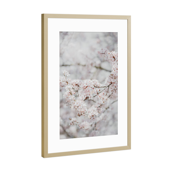 Poster mit Rahmen Gold "Kirschbaum Erwachen" artboxONE - Natur,Floral