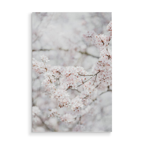 Holzbild "Kirschbaum Erwachen" artboxONE - Natur,Floral
