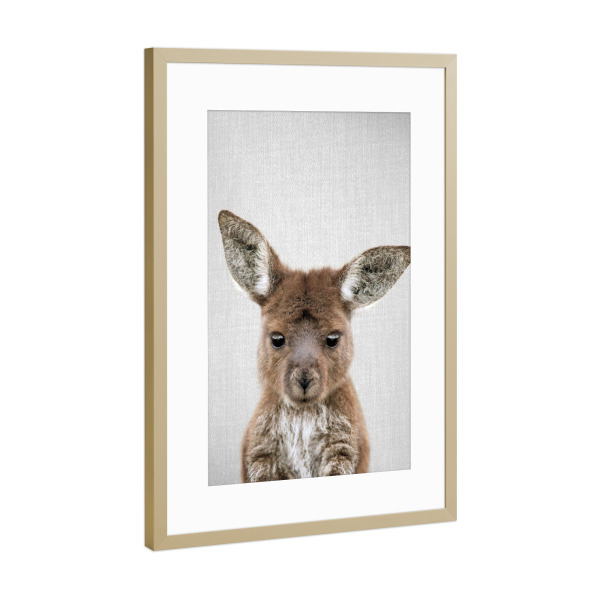 Poster mit Rahmen Gold "Baby-Känguru" artboxONE - Natur,Für Kinder,Tiere,Städte / Sydney