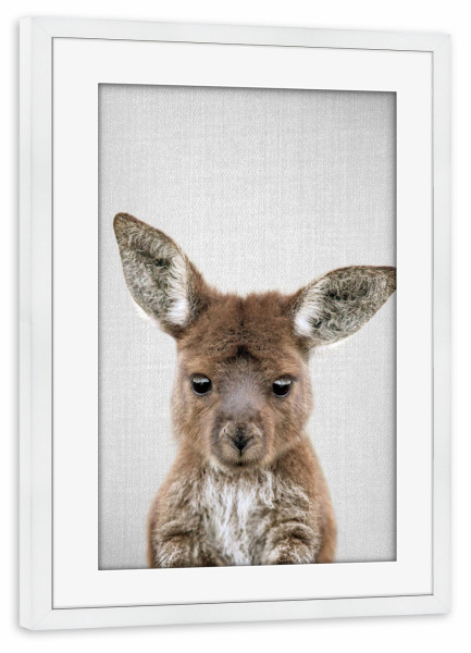Poster mit Rahmen weiß "Baby-Känguru" artboxONE - Natur,Für Kinder,Tiere,Städte / Sydney