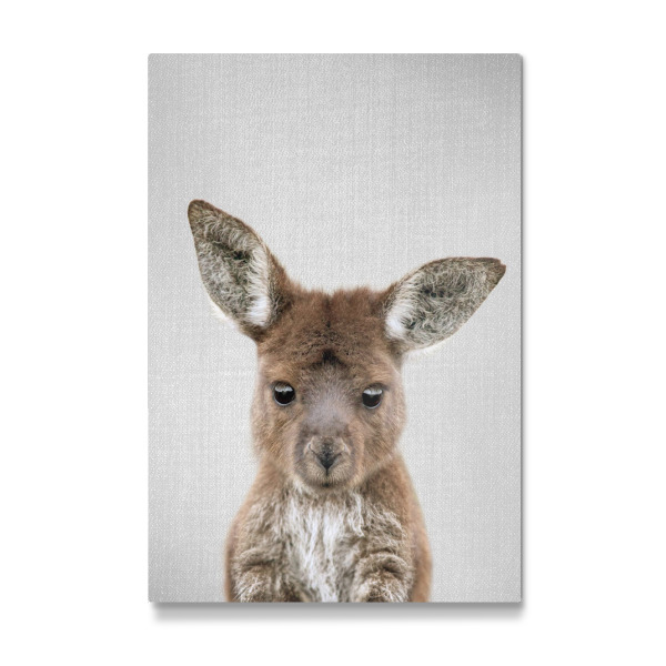 Galerie-Print "Baby-Känguru" 30x20 cm artboxONE