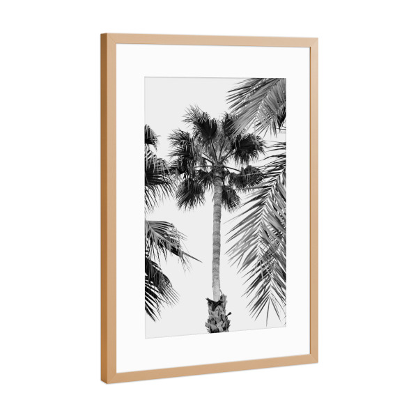 Poster mit Rahmen Kupfer "Palm Tree Breeze - Schwarz & Weiß" artboxONE - Natur,Floral,Reise / Strand und Meer,Städte / Los Angeles