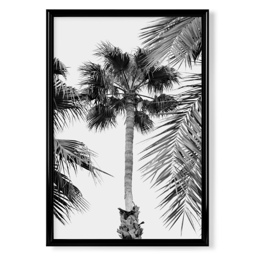 Palm Tree Breeze - Schwarz & Weiß