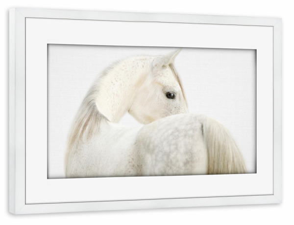 Poster mit Rahmen weiß "Furchtloses Pferd" artboxONE - Für Kinder,Tiere,Für Mama,Für Papa