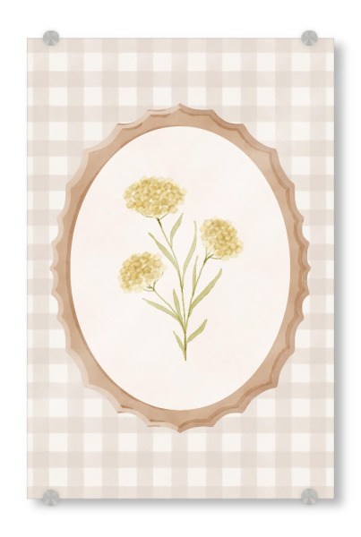 Acrylglasbild "Gerahmtes Cape Gold" artboxONE - Natur,Floral - Blume,Wildblume,Botanisch,Minimal,Vintage,Cottagecore,Gingham,Grandmillennial