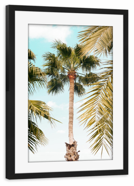 Poster mit Rahmen schwarz "Palmenbrise" artboxONE - Natur,Floral,Reise / Strand und Meer,Städte / Los Angeles