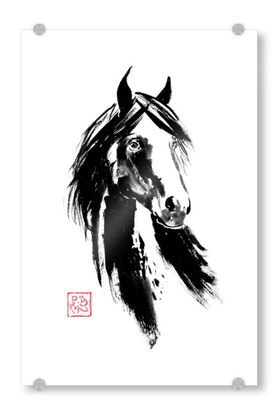 Acrylglasbild "Black horse spots" artboxONE - Tiere,Schwarzweiß - Horse,Sumie,Japan