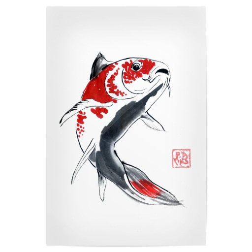 Red koi