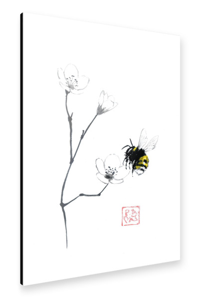 Alu-Dibond "Sakura bumblebee simple" 75x50 cm artboxONE