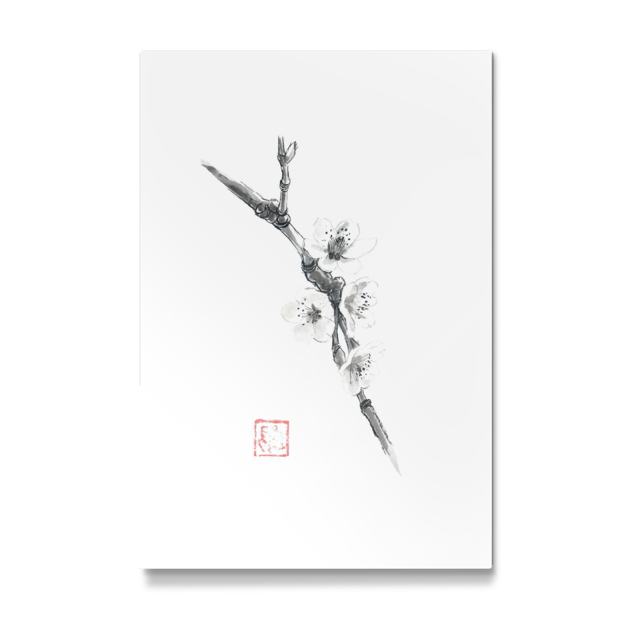 Galerie-Print "Sakura short branch" 30x20 cm artboxONE