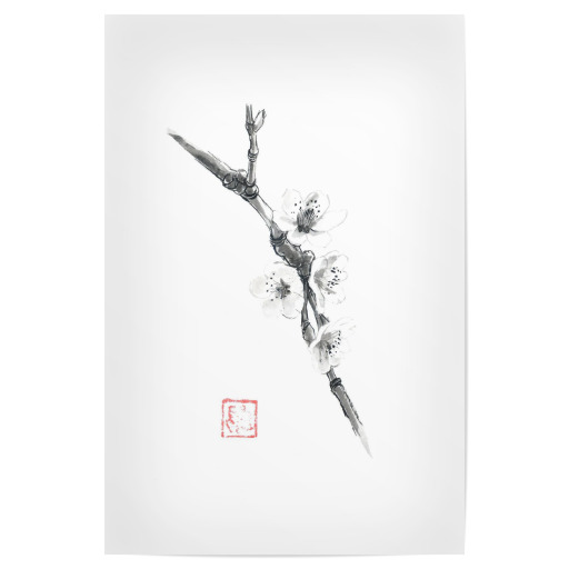 Sakura short branch