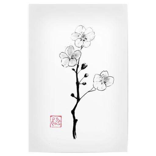 Sakura simple
