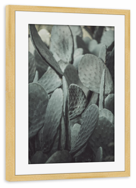 Poster mit Rahmen kiefer "Tanz der Kakteen" artboxONE - Natur,Floral