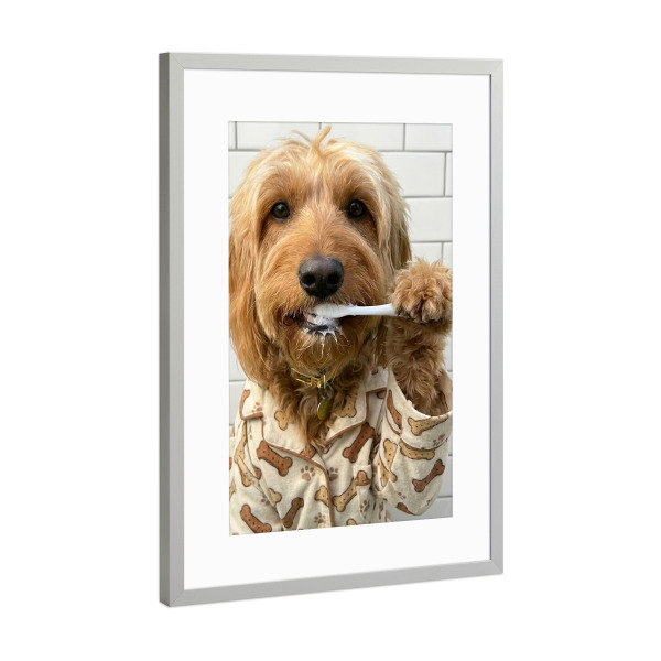 Poster mit Rahmen Silber "Rosie Bath" artboxONE - Tiere,Lustig - Hund,Bad,Lustig,Haustier