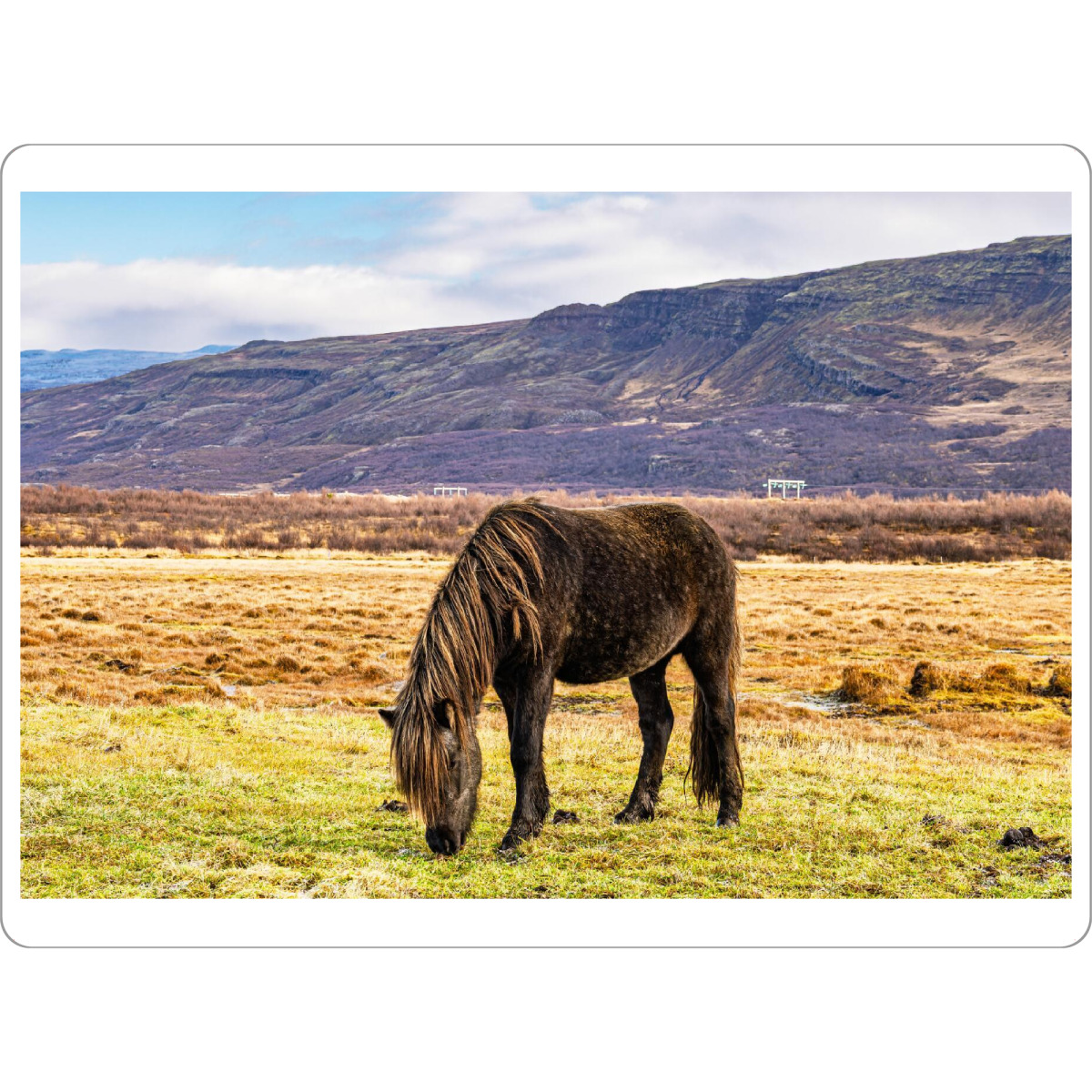 Tischset "Weide mit Islandpferd" artboxONE - Natur,Reise,Tiere,Reise / Länder