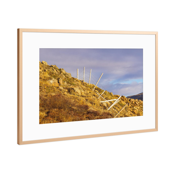 Poster mit Rahmen Kupfer "Landschaft mit Zaun" artboxONE - Natur,Reise,Reise / Länder