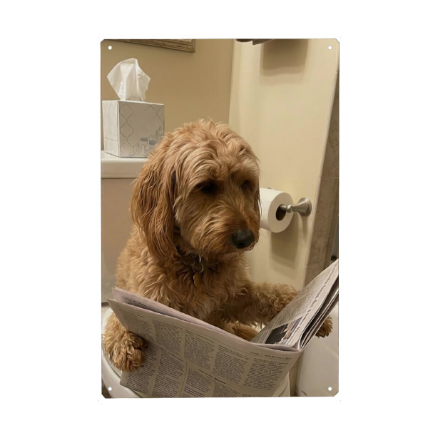 Holzbild "Rosie benutzt das Badezimmer" artboxONE - Tiere,Lustig - Hund,Haustiere,Lustig,Bad