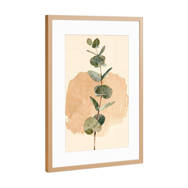 Poster mit Rahmen Kupfer "Botanische Studie zum Eukalyptus" artboxONE - Floral,Abstrakt