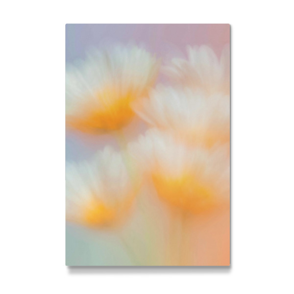 Galerie-Print "Weißer Blüten Spiel" 30x20 cm artboxONE