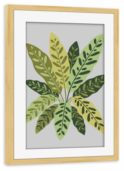 Poster mit Rahmen kiefer "Calathea Silhouette" artboxONE - Floral
